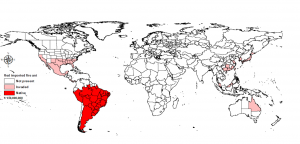 Global distribution of red imported fire ant.